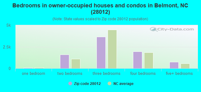 Bedrooms in owner-occupied houses and condos in Belmont, NC (28012) 