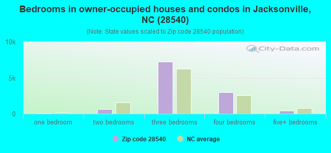 Bedrooms in owner-occupied houses and condos in Jacksonville, NC (28540) 