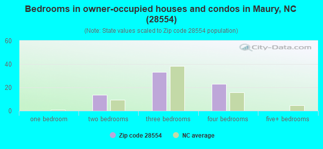 Bedrooms in owner-occupied houses and condos in Maury, NC (28554) 