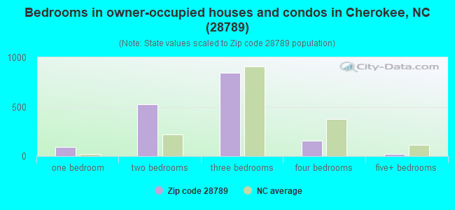 Bedrooms in owner-occupied houses and condos in Cherokee, NC (28789) 