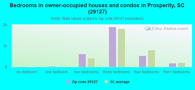 Bedrooms in owner-occupied houses and condos in Prosperity, SC (29127) 
