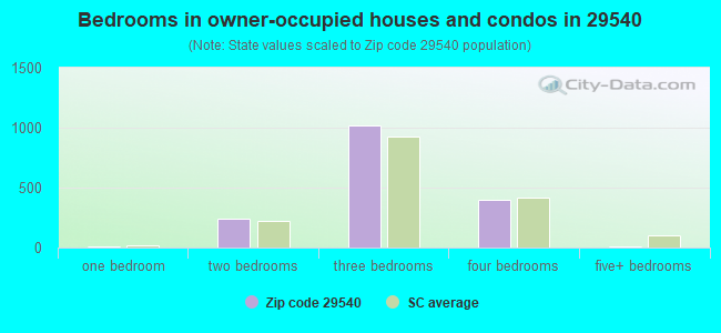 Bedrooms in owner-occupied houses and condos in 29540 