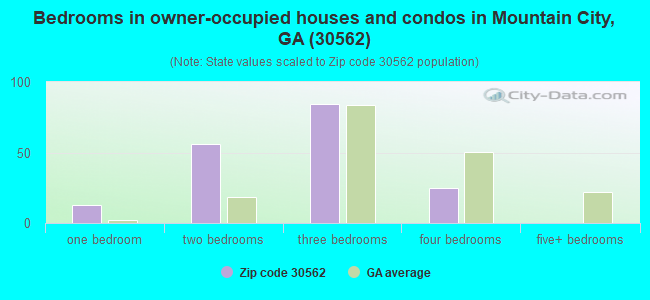 Bedrooms in owner-occupied houses and condos in Mountain City, GA (30562) 