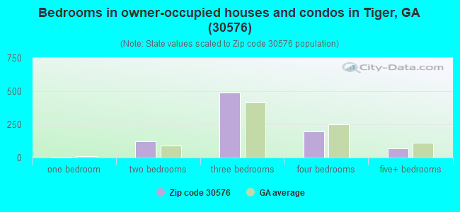Bedrooms in owner-occupied houses and condos in Tiger, GA (30576) 