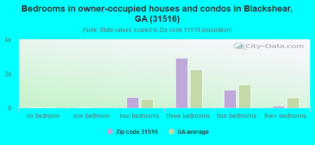 Bedrooms in owner-occupied houses and condos in Blackshear, GA (31516) 