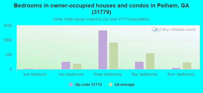 Bedrooms in owner-occupied houses and condos in Pelham, GA (31779) 
