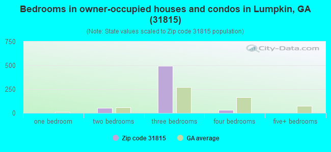 Bedrooms in owner-occupied houses and condos in Lumpkin, GA (31815) 