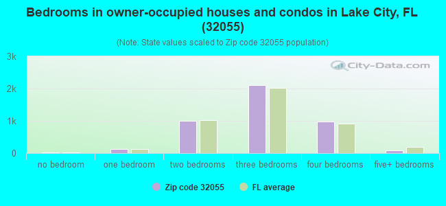 Bedrooms in owner-occupied houses and condos in Lake City, FL (32055) 