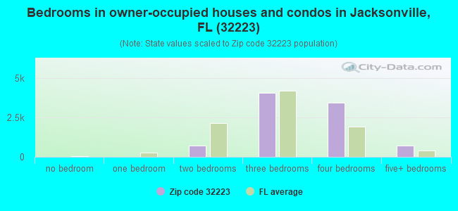 Bedrooms in owner-occupied houses and condos in Jacksonville, FL (32223) 