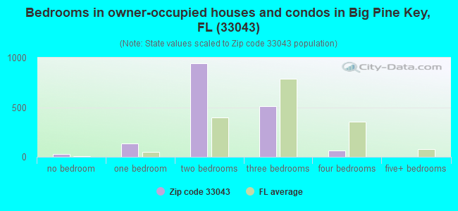 Bedrooms in owner-occupied houses and condos in Big Pine Key, FL (33043) 
