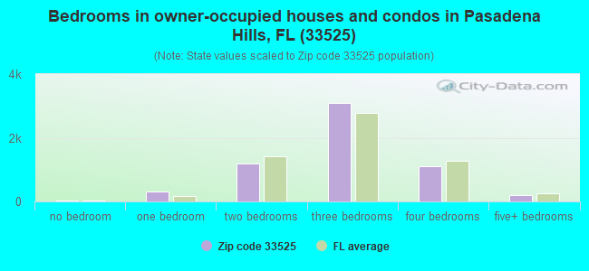 Bedrooms in owner-occupied houses and condos in Pasadena Hills, FL (33525) 