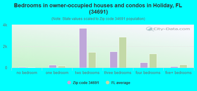 Bedrooms in owner-occupied houses and condos in Holiday, FL (34691) 