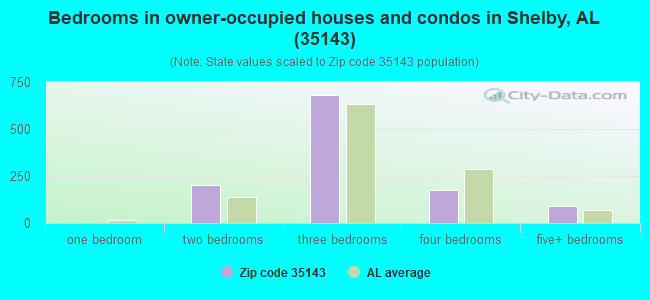 Bedrooms in owner-occupied houses and condos in Shelby, AL (35143) 