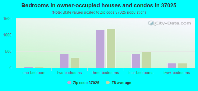 Bedrooms in owner-occupied houses and condos in 37025 