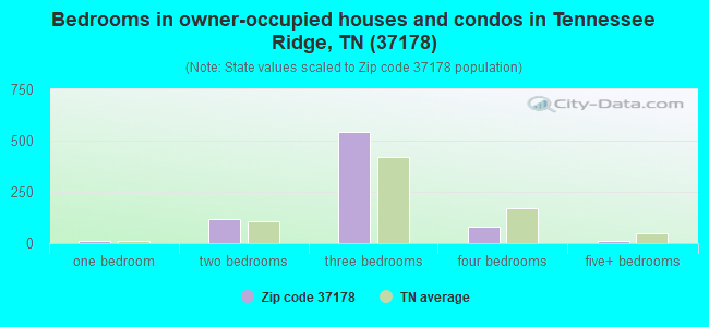 Bedrooms in owner-occupied houses and condos in Tennessee Ridge, TN (37178) 
