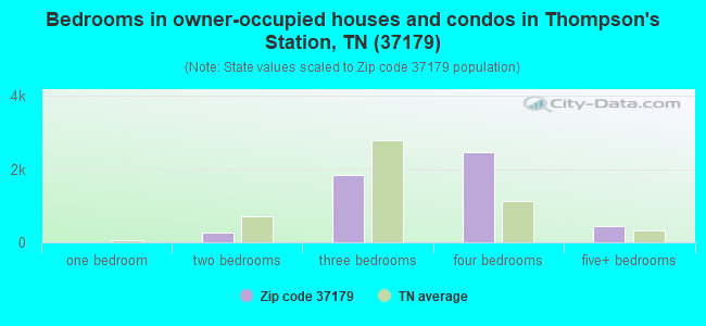 Bedrooms in owner-occupied houses and condos in Thompson's Station, TN (37179) 