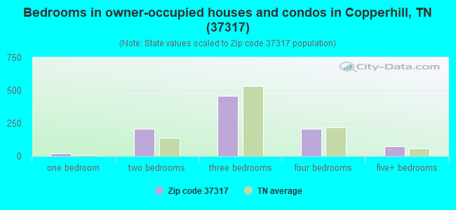 Bedrooms in owner-occupied houses and condos in Copperhill, TN (37317) 
