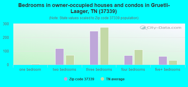 Bedrooms in owner-occupied houses and condos in Gruetli-Laager, TN (37339) 