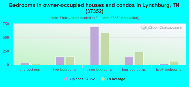 Bedrooms in owner-occupied houses and condos in Lynchburg, TN (37352) 