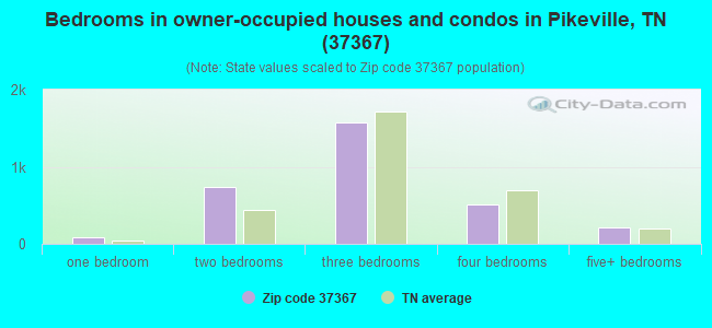 Bedrooms in owner-occupied houses and condos in Pikeville, TN (37367) 