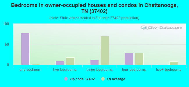 Bedrooms in owner-occupied houses and condos in Chattanooga, TN (37402) 