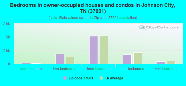 Bedrooms in owner-occupied houses and condos in Johnson City, TN (37601) 