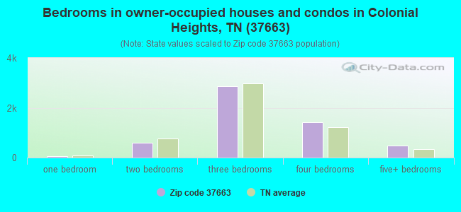 Bedrooms in owner-occupied houses and condos in Colonial Heights, TN (37663) 