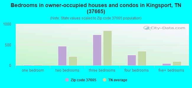 Bedrooms in owner-occupied houses and condos in Kingsport, TN (37665) 