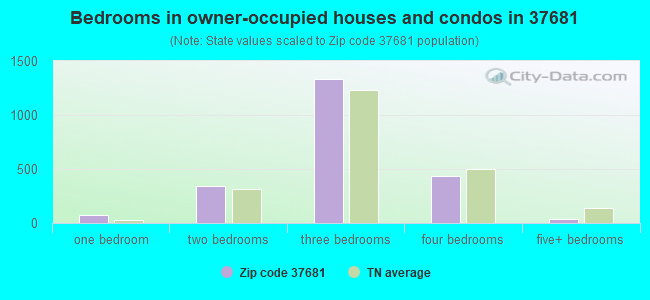 Bedrooms in owner-occupied houses and condos in 37681 