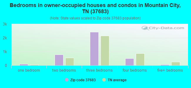 Bedrooms in owner-occupied houses and condos in Mountain City, TN (37683) 