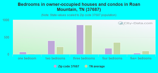 Bedrooms in owner-occupied houses and condos in Roan Mountain, TN (37687) 