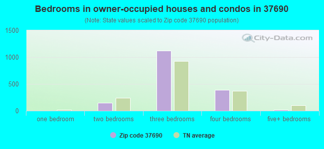 Bedrooms in owner-occupied houses and condos in 37690 