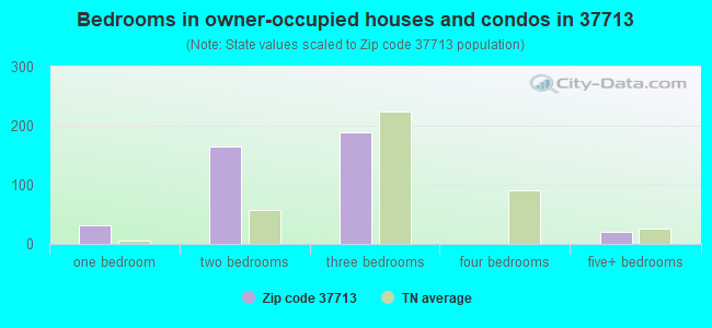 Bedrooms in owner-occupied houses and condos in 37713 