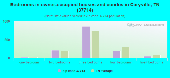 Bedrooms in owner-occupied houses and condos in Caryville, TN (37714) 