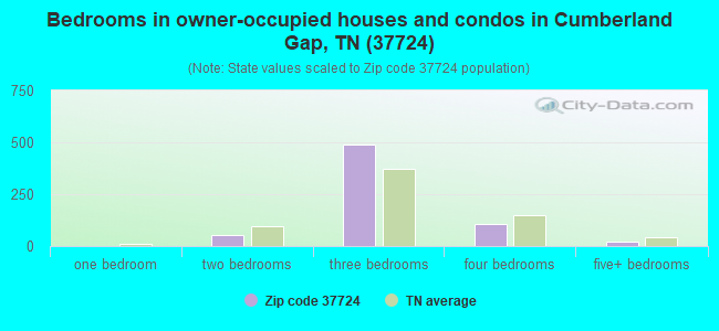 Bedrooms in owner-occupied houses and condos in Cumberland Gap, TN (37724) 