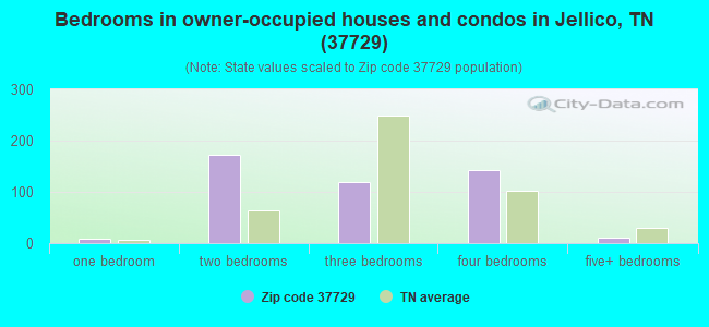 Bedrooms in owner-occupied houses and condos in Jellico, TN (37729) 