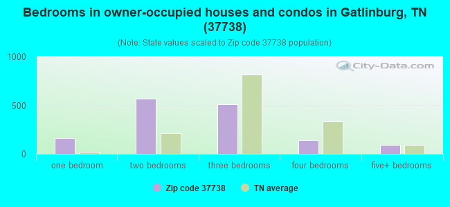 Bedrooms in owner-occupied houses and condos in Gatlinburg, TN (37738) 