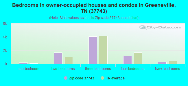 Bedrooms in owner-occupied houses and condos in Greeneville, TN (37743) 