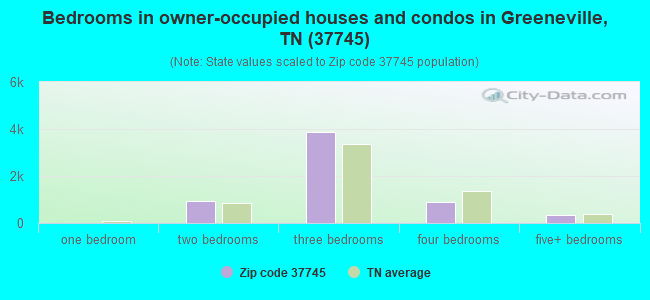 Bedrooms in owner-occupied houses and condos in Greeneville, TN (37745) 