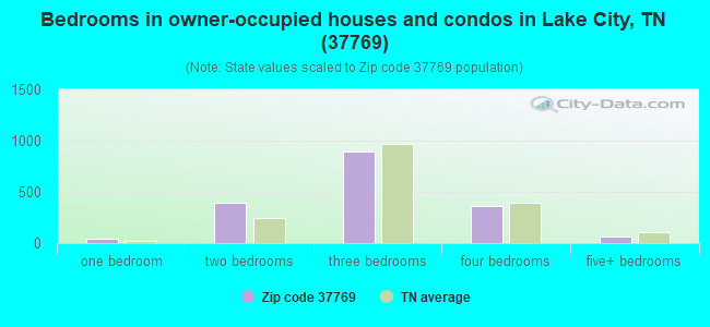 Bedrooms in owner-occupied houses and condos in Lake City, TN (37769) 