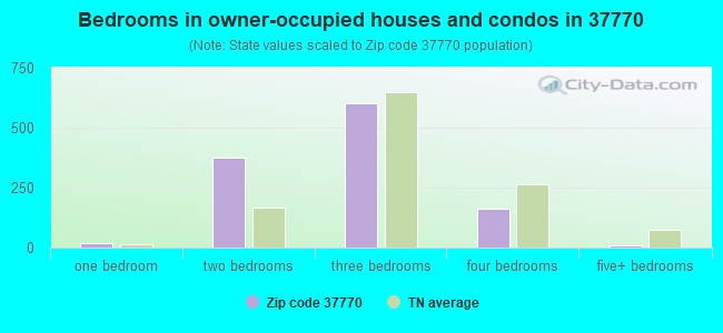 Bedrooms in owner-occupied houses and condos in 37770 