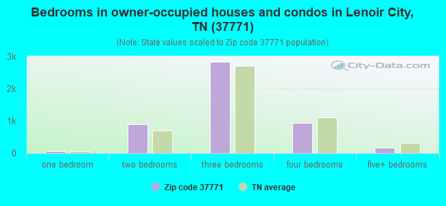 Bedrooms in owner-occupied houses and condos in Lenoir City, TN (37771) 