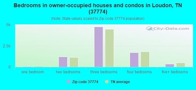 Bedrooms in owner-occupied houses and condos in Loudon, TN (37774) 