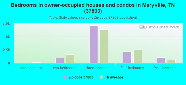 Bedrooms in owner-occupied houses and condos in Maryville, TN (37803) 