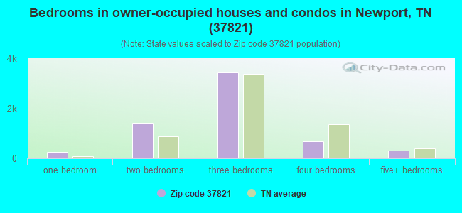 Bedrooms in owner-occupied houses and condos in Newport, TN (37821) 