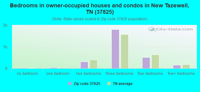 Bedrooms in owner-occupied houses and condos in New Tazewell, TN (37825) 