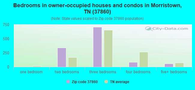 Bedrooms in owner-occupied houses and condos in Morristown, TN (37860) 