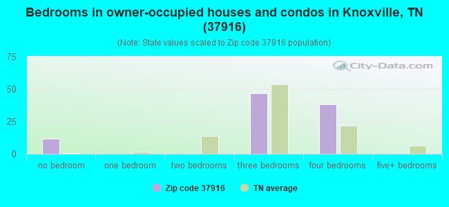 Bedrooms in owner-occupied houses and condos in Knoxville, TN (37916) 
