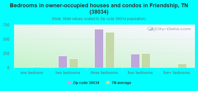 Bedrooms in owner-occupied houses and condos in Friendship, TN (38034) 