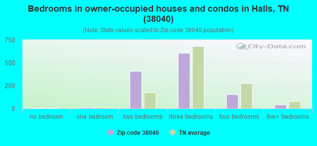 Bedrooms in owner-occupied houses and condos in Halls, TN (38040) 